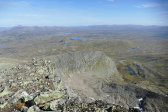Fjelds 10