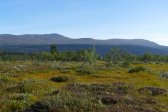 Fjelds 1