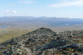 Fjelds 11