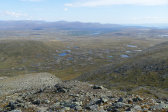 Fjelds 12