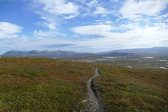 Fjelds 1
