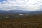 Fjelds 2
