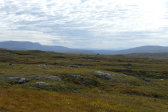 Fjelds 3