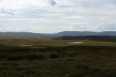 Fjelds 5