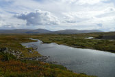Fjelds 6