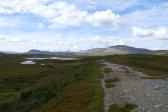 Fjelds 7
