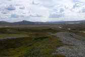 Fjelds 8
