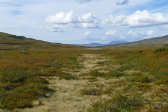 Fjelds 10