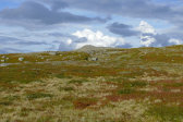 Fjelds 11