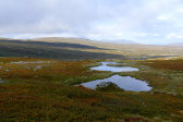 Fjelds 1