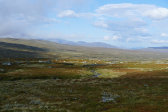 Fjelds 2