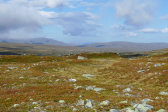 Fjelds 3