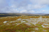 Fjelds 4