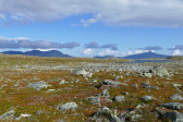 Fjelds 6