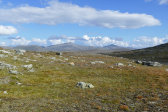 Fjelds 7