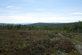 Fjelds 3