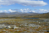 Fjelds 8