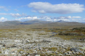 Fjelds 9