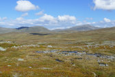 Fjelds 10