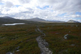Fjelds 11