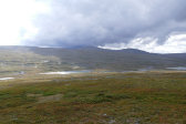 Fjelds 12