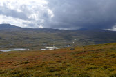 Fjelds 13