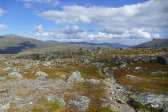 Fjelds 14