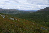 Fjelds 16