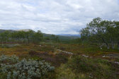 Fjelds 17