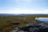 Fjelds 4