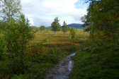 Fjelds 2