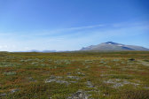 Fjelds 6