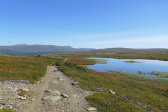 Fjelds 7