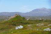Fjelds 8
