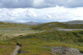 Hiker 1