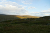 Morning 3
