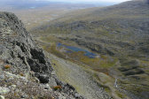 Niche 10