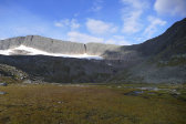 Niche 1