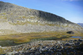 Niche 5