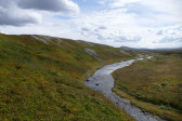 Ridge 11