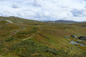 Ridge 12