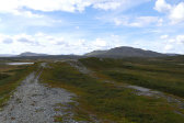 Ridge 4