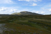 Ridge 6