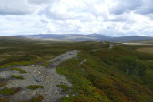 Ridge 7