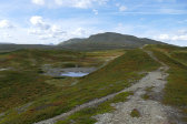 Ridge 8