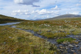 Stream 11
