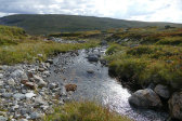Stream 12