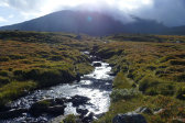 Stream 13