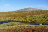 Stream 14
