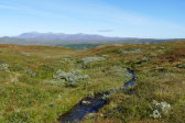 Stream 1